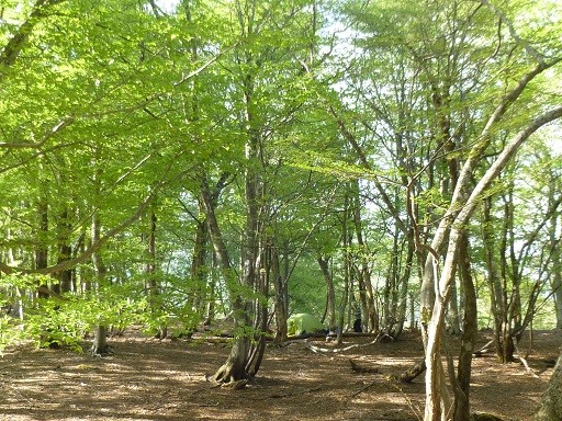 f:id:cangael:20140503155106j:image