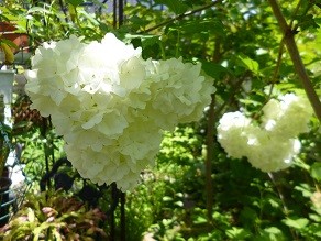 f:id:cangael:20140504120511j:image:right