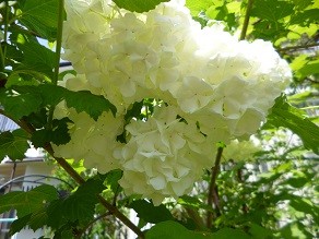 f:id:cangael:20140504120651j:image:right