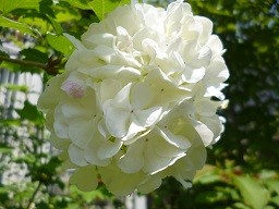 f:id:cangael:20140504120701j:image:left