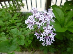 f:id:cangael:20140506112613j:image:right