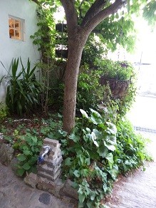 f:id:cangael:20140520141326j:image:right