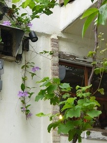 f:id:cangael:20140520141348j:image