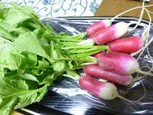 f:id:cangael:20140523182434j:image f:id:cangael:20140523182434j:image