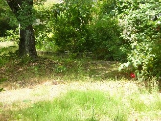 f:id:cangael:20140530105619j:image:left