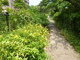 f:id:cangael:20140530105734j:image