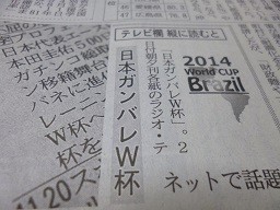 f:id:cangael:20140603083740j:image:left