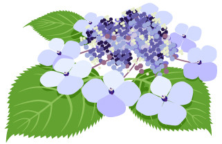 f:id:cangael:20140614115139j:image:right f:id:cangael:20140614115139j:image:right