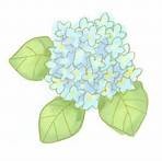 f:id:cangael:20140614115825j:image:right f:id:cangael:20140614115825j:image:right