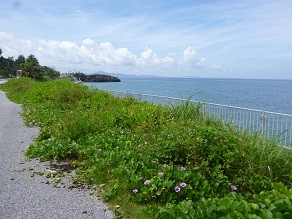 f:id:cangael:20140620104302j:image:left