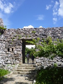 f:id:cangael:20140620150022j:image:left