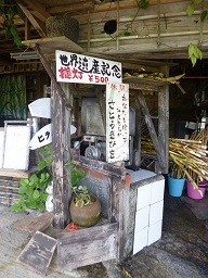 f:id:cangael:20140620153634j:image:left