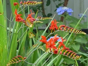 f:id:cangael:20140626064259j:image:left