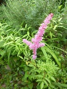 f:id:cangael:20140626064533j:image:left