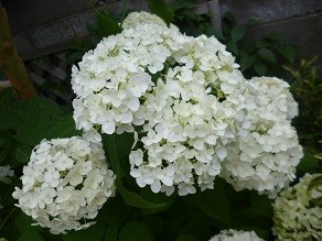 f:id:cangael:20140627063433j:image