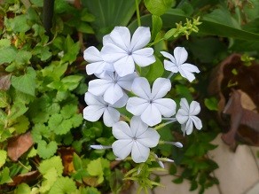 f:id:cangael:20140708141158j:image