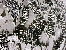 f:id:cangael:20140805162211j:image