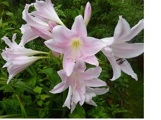 f:id:cangael:20140824084350j:image:right