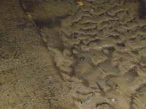 f:id:cangael:20140824210233j:image