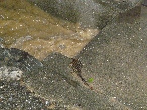 f:id:cangael:20140824210251j:image