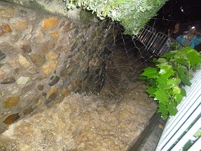 f:id:cangael:20140824210925j:image