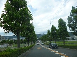 f:id:cangael:20140831143831j:image:right