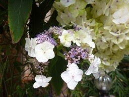 f:id:cangael:20140917113819j:image:right f:id:cangael:20140917113819j:image:right