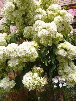 f:id:cangael:20140917113826j:image:left f:id:cangael:20140917113826j:image:left