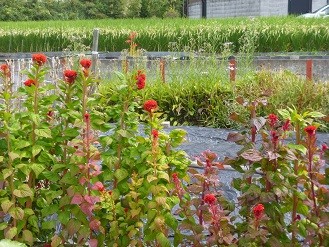 f:id:cangael:20140917114024j:image:right