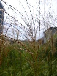 f:id:cangael:20140917114415j:image:left