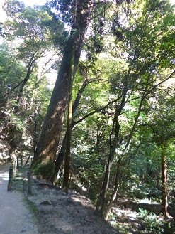 f:id:cangael:20140922143000j:image