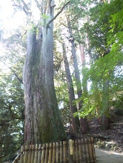 f:id:cangael:20140922143218j:image