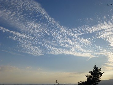 f:id:cangael:20140926164924j:image:left