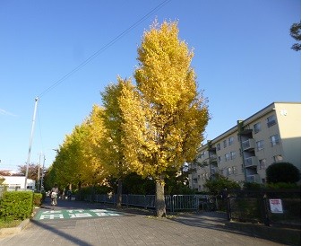 f:id:cangael:20141114151942j:image:right