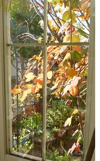 f:id:cangael:20141121121809j:image:left