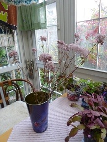 f:id:cangael:20141121160100j:image:left