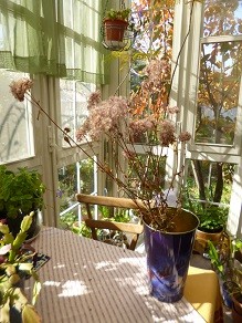 f:id:cangael:20141122095724j:image:right