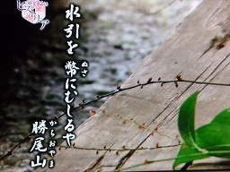 f:id:cangael:20141217222230j:image:left