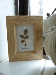 f:id:cangael:20150128121556j:image:right