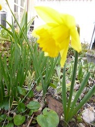 f:id:cangael:20150210142816j:image:right