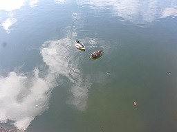 f:id:cangael:20150219085054j:image:left