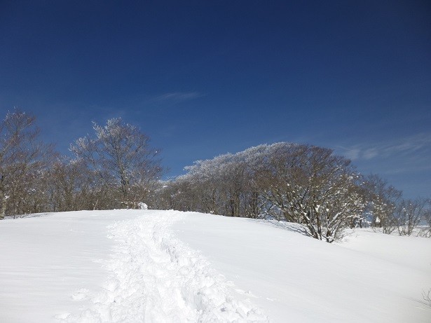 f:id:cangael:20150221115745j:image
