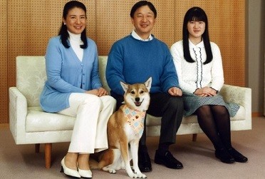 f:id:cangael:20150224102733j:image:left