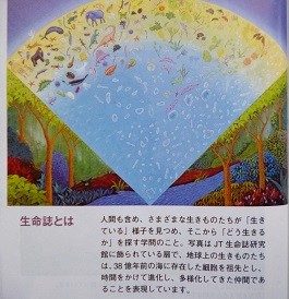 f:id:cangael:20150305170009j:image:right