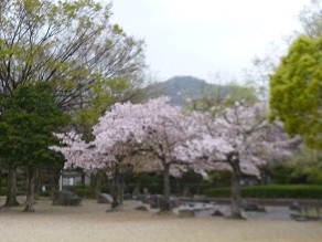 f:id:cangael:20150410083355j:image