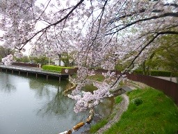 f:id:cangael:20150410084359j:image