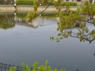 f:id:cangael:20150416090605j:image:right