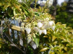 f:id:cangael:20150417134902j:image