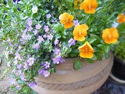 f:id:cangael:20150427074311j:image:right