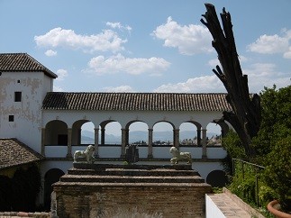 f:id:cangael:20150625234142j:image f:id:cangael:20150625234142j:image